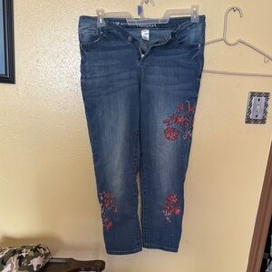 Westport Blue Ankle Jeans with Red Embroidery